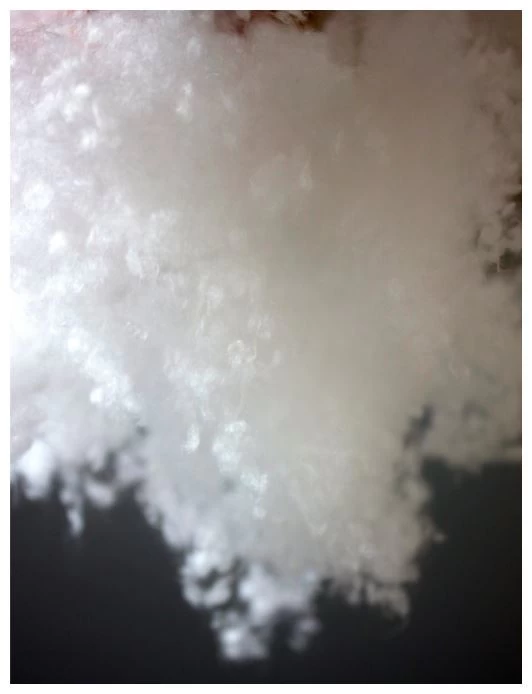 Human Comfort Airel 10 Human Comfort Airel – Image 8