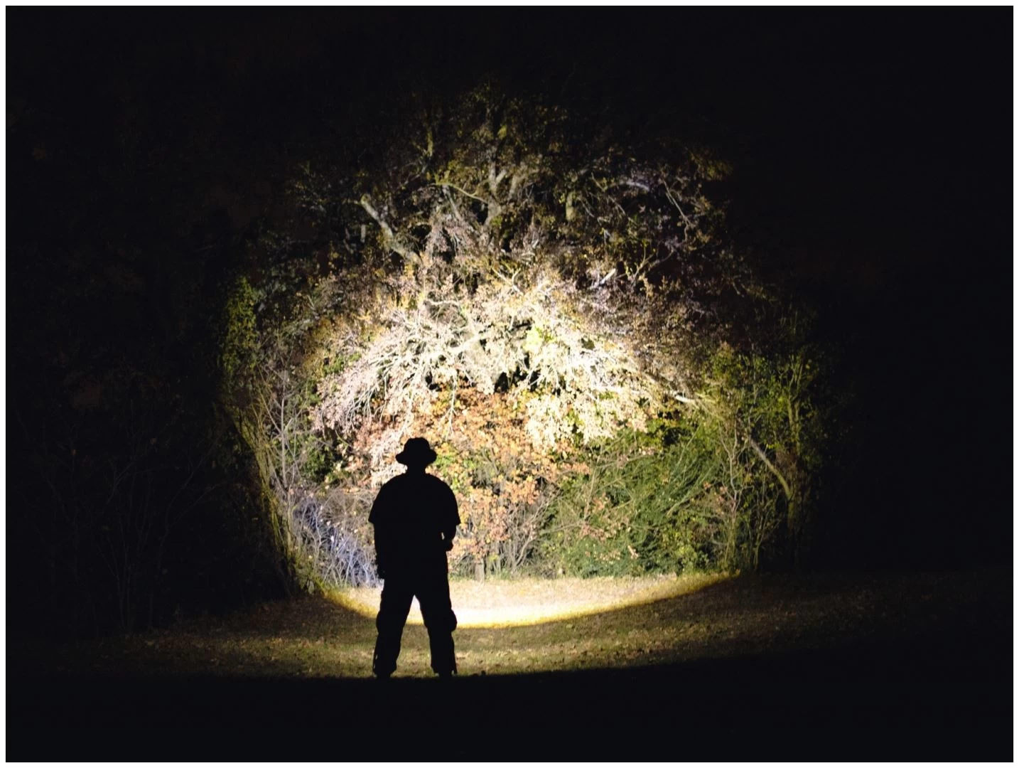 Nebo 12K 9 Nebo 12K – Image 7