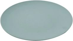 Point-Virgule Assiette De PLA ø 25.5 Cm