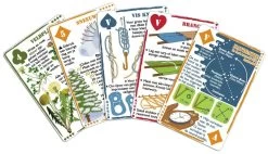 Wilderniskaarten Wilderniskaarten Set Cartes à Jouer -Cmping En Plein Air wilderniskaarten set speelkaarten 1